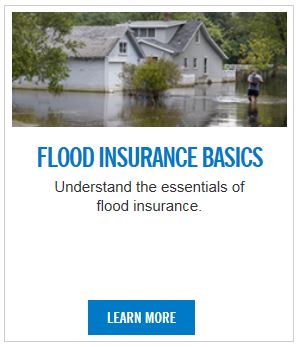 insurance.JPG Opens in new window