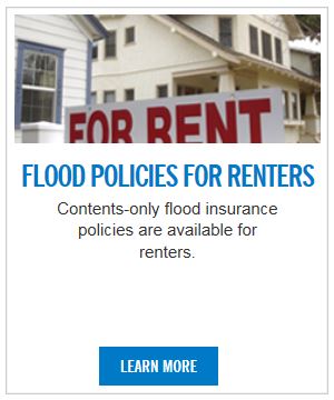 Renter.JPG Opens in new window