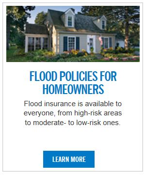 homeowner.JPG Opens in new window