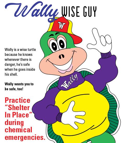 Wally 